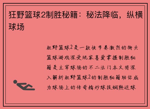 狂野篮球2制胜秘籍：秘法降临，纵横球场